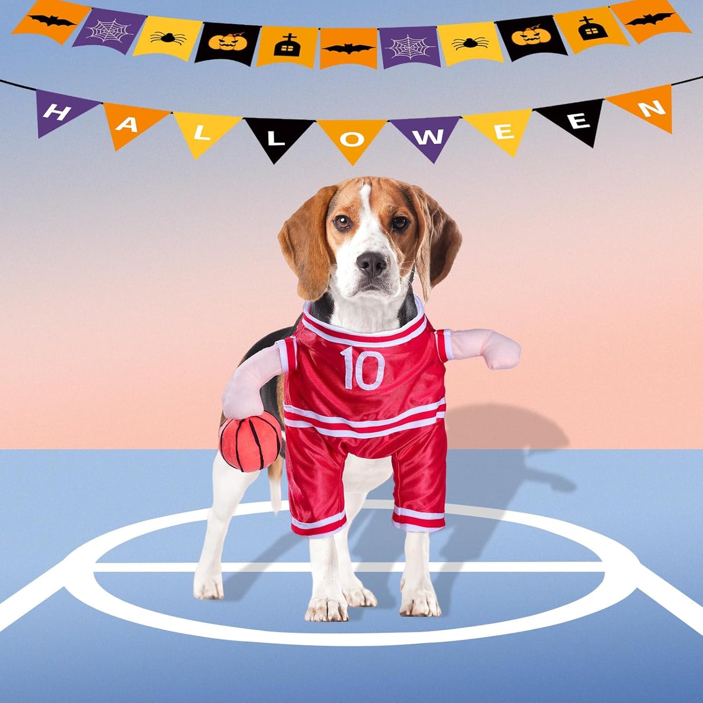 Dog Basketball Player Costume - Pet Halloween Costume Adjustable Funny Dress up Sports Outfit Cosplay Clothes for Small Medium Dog (Red Basketball, Small)