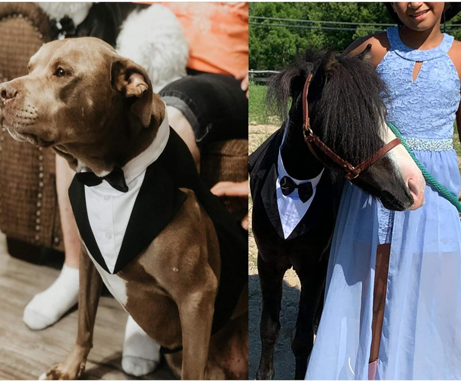 Dog Tuxedo for Small Medium Large Doggie, Detachable Dog Formal Wedding Suit with Tuxedo Vest & Bow Ties Collar & Bandana Scarf Set, Wedding Attire Shirt for Birthday Party Costume